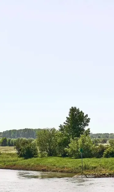 Impact Stedendriehoek website