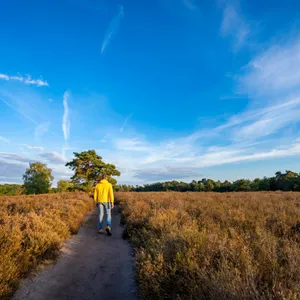 Website van Hoeders van de Veluwe Website van Hoeders van de Veluwe