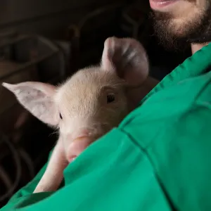 ImpactFarmView website